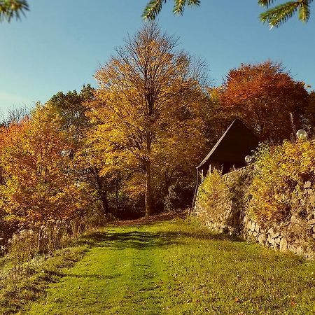 Parkhotel Schwarzenberg - Garni Eksteriør billede