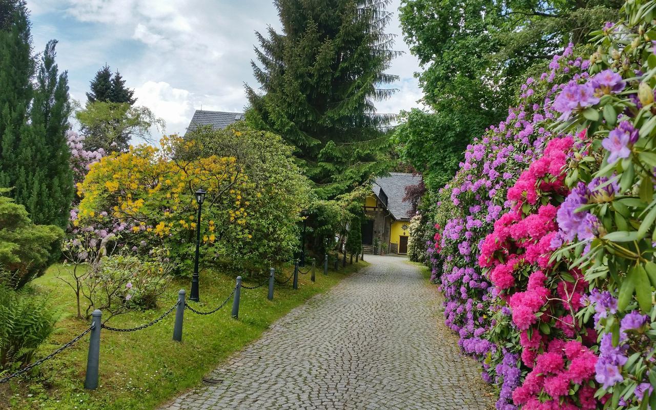 Parkhotel Schwarzenberg - Garni Eksteriør billede
